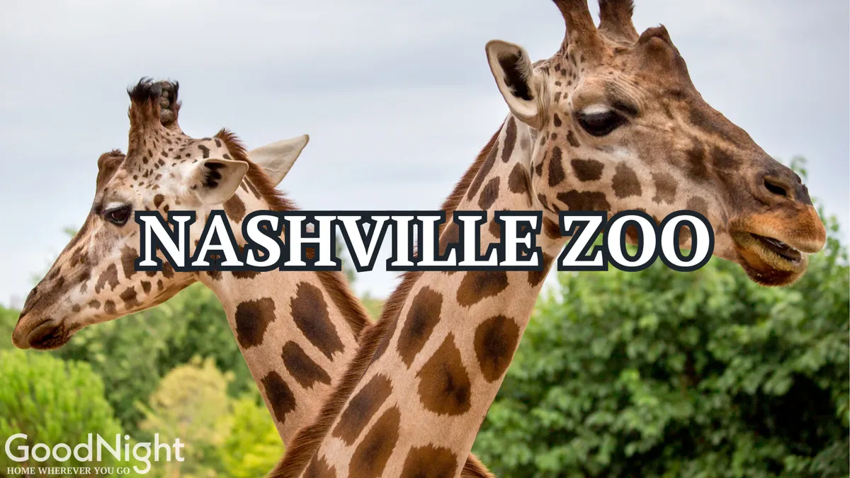 This vibrant exterior scene showcases giraffes surrounded by lush green foliage at the Nashville Zoo, with families observing and taking photos. The joyful mood and close wildlife encounters highlight a memorable family outing.